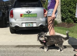 #Barking. #DogTraining. #FortMyersK9. #DogsofBarkBusters. #SpeakDogChangeYourLife