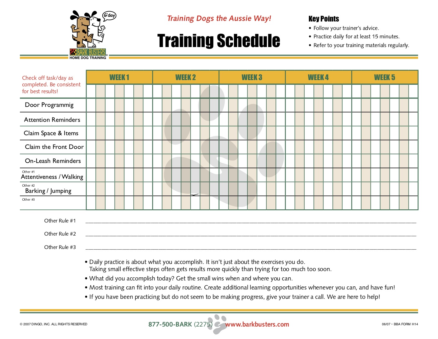 Training Schedule Home Dog Training Fort Myers