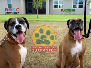 #boxer. #speakdogchangeyourlife